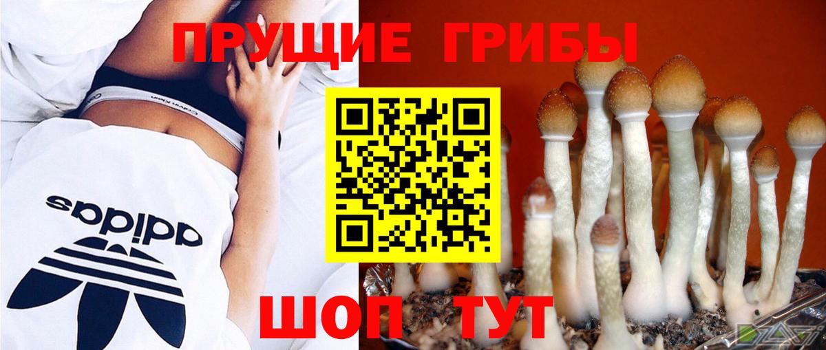 Галлюциногенные грибы ЛСД  Вход с VPN  Ейск  дарнет шоп  Псилоцибиновые грибы мицелий 