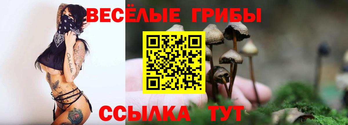 Псилоцибиновые грибы MAGIC MUSHROOMS Ейск