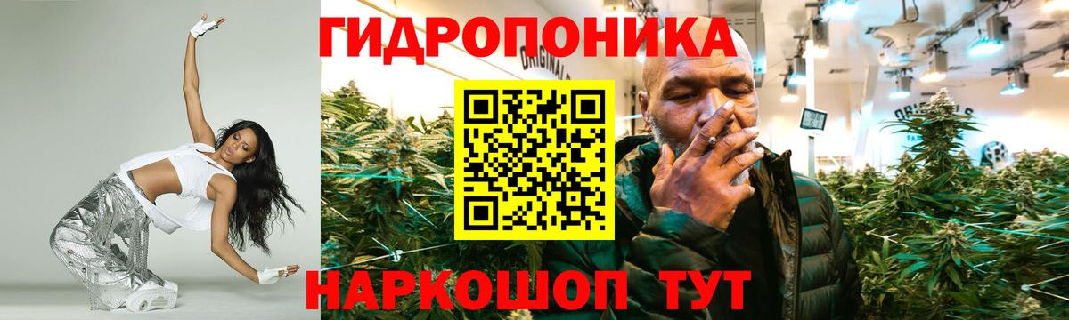 Бошки марихуана сатива  Канабис VHQ  Ейск  МАРИХУАНА MAZAR  Конопля план  Вход с VPN 